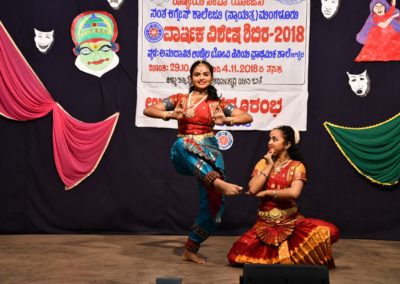 NSS Annual Special Camp 2018-19