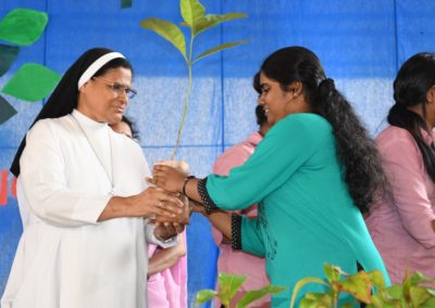 Vanamahotsava Celebrations
