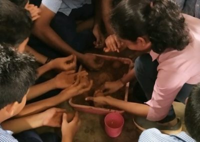 Hands on Seed Ball Preparation