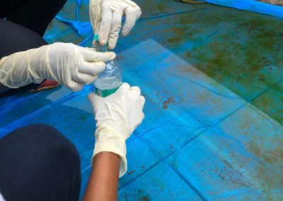 Larvae Hunting and Awareness Program