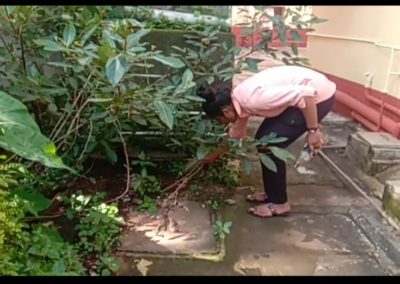 NSS Activity-Mosquito Larvae Killing