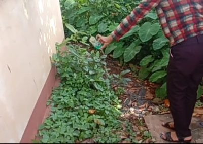 NSS Activity-Mosquito Larvae Killing