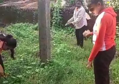 NSS Activity-Mosquito Larvae Killing