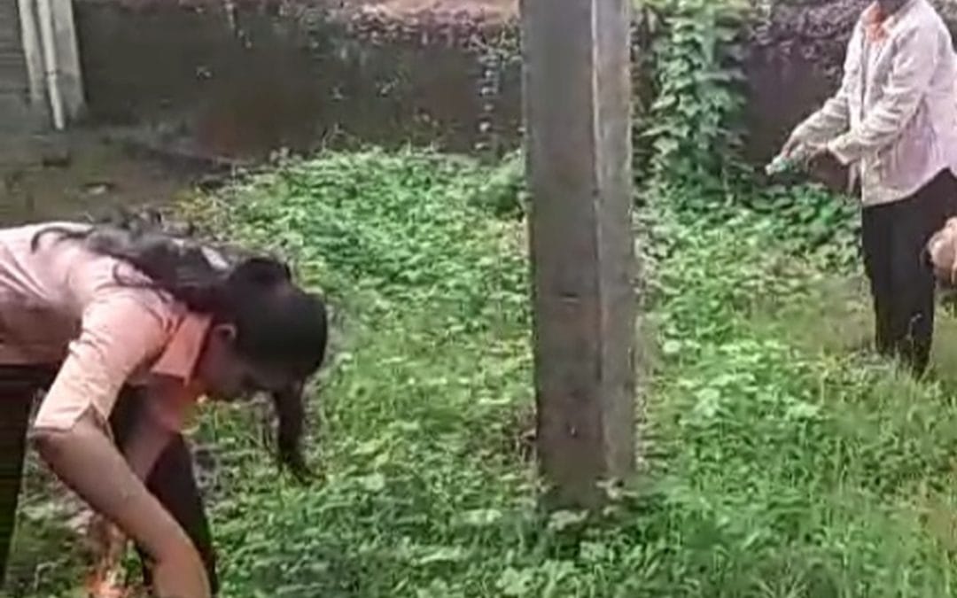 NSS Activity-Mosquito Larvae Killing