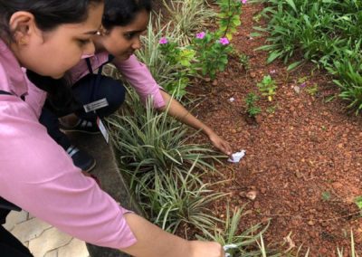 Prevention of Dengue and Malaria Drive