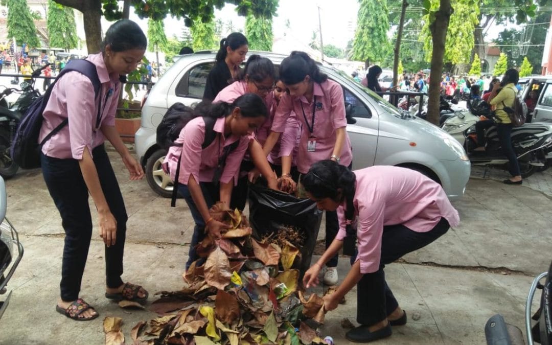 Prevention of Dengue and Malaria Drive