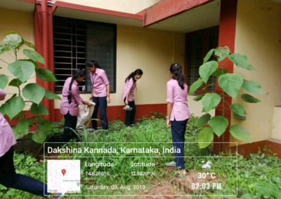 Prevention of Dengue and Malaria Drive