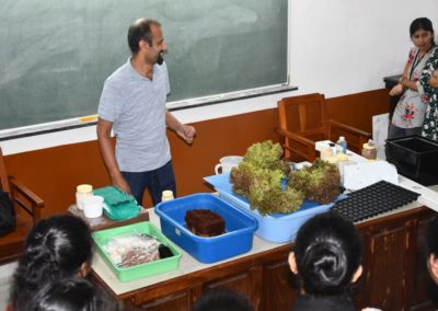 Hydroponics Workshop