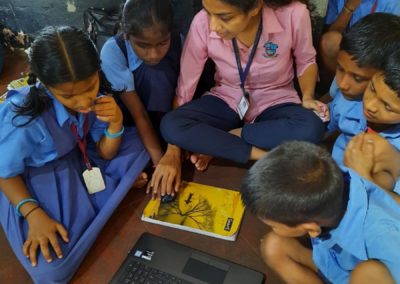 Extension Activity - Statistics