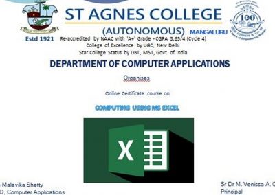 Online Course on using MS Excel