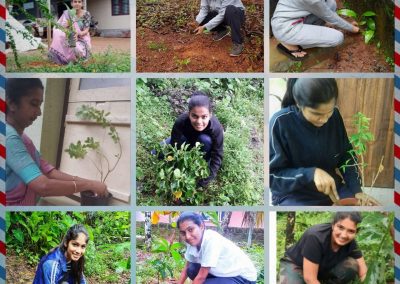 Tree Plantation Pakhwada