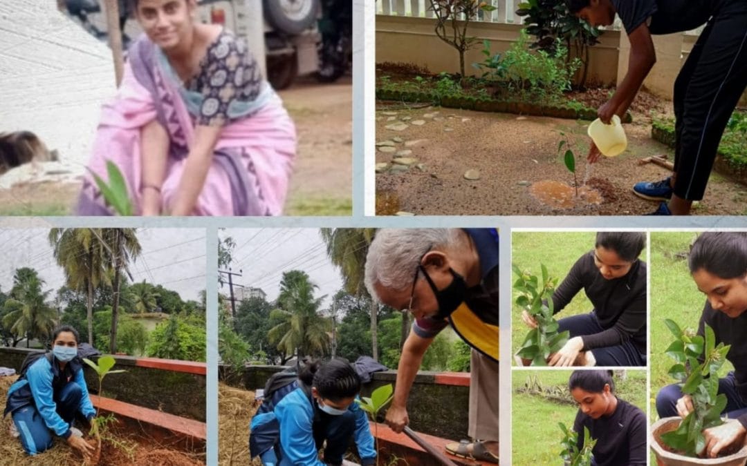 Tree Plantation Pakhwada