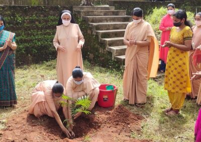 Sapling Plantation Ceremony