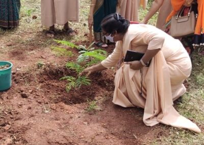 Sapling Plantation Ceremony