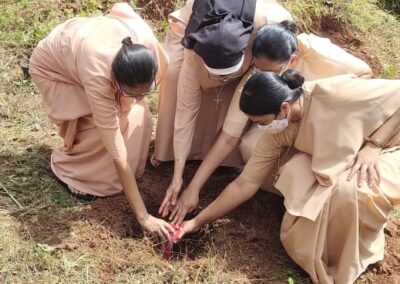 Sapling Plantation Ceremony