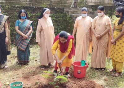 Sapling Plantation Ceremony