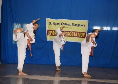 Guest lecture on Intellectual self-defense