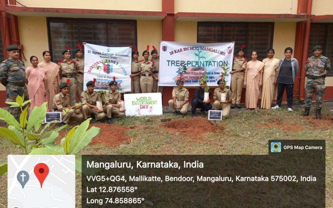 Tree Plantation Programme