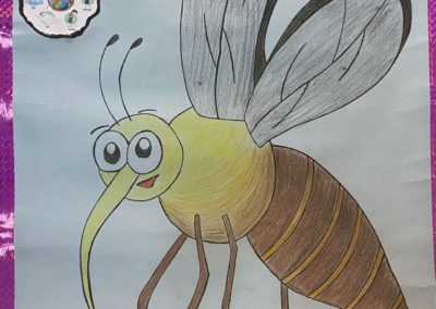 World Mosquito Day