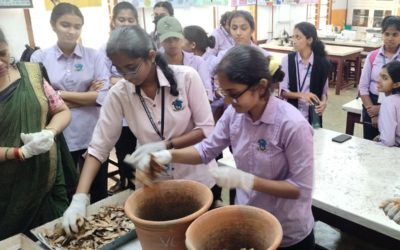 Workshop on Vermicomposting