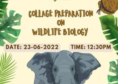Collage Making on Wildlife Biology
