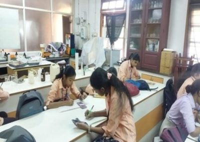 Collage Making on Wildlife Biology