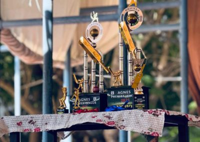 Agnes Premier League (APL) 2025 – Season 03