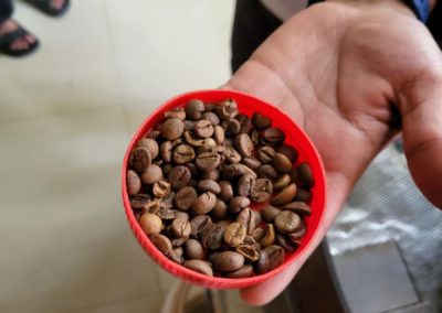 Educational Field Visit to Madikeri - PG English Department