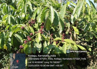 Educational Trip to Madikeri