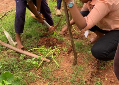 Agnes Towards Community (ATC) Leads Plantation Drive for a Sustainable Future