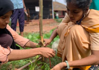 Agnes Towards Community (ATC) Leads Plantation Drive for a Sustainable Future