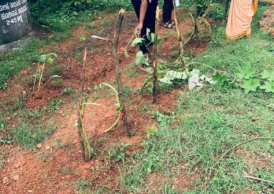 Agnes Towards Community (ATC) Leads Plantation Drive for a Sustainable Future