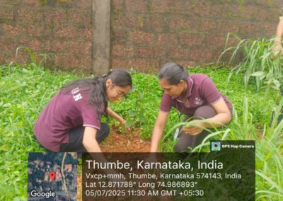 Plantaion drive - Thumbe