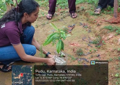 Plantation Drive at Dakshina Kannada Zilla Panchayat Higher Primary School