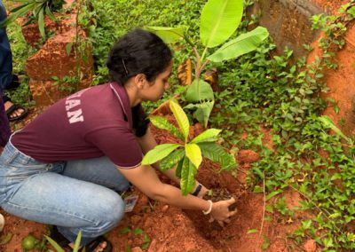 Plantation Drive at Dakshina Kannada Zilla Panchayat Higher Primary School