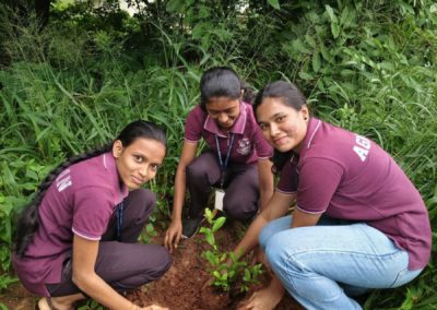 Tree Plantation Drive - SDM Mangala Jyothi Integrated School