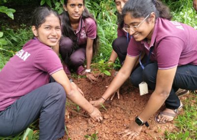Tree Plantation Drive - SDM Mangala Jyothi Integrated School