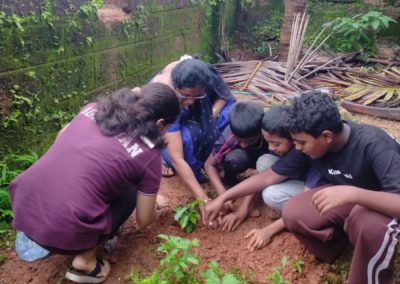 Vanamahotsav Celebration Report - III BSc