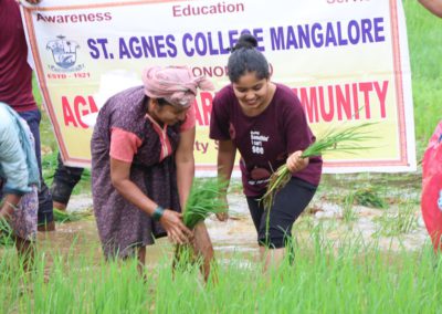 Paddy Plantation Drive