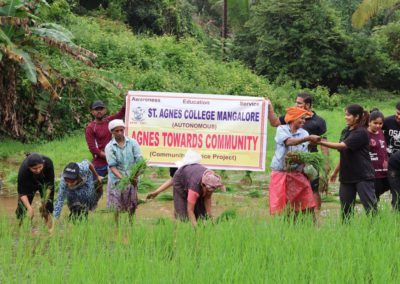 Paddy Plantation Drive