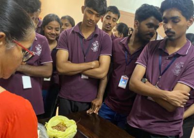 Preparation of Liquid Soap, Phenyl, and Gardening Tips