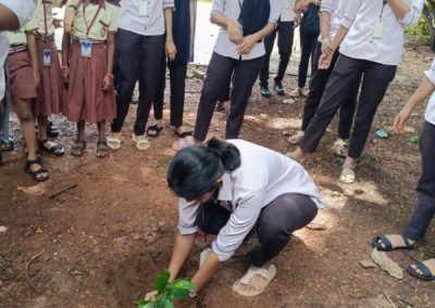 Vanamahotsava Celebration