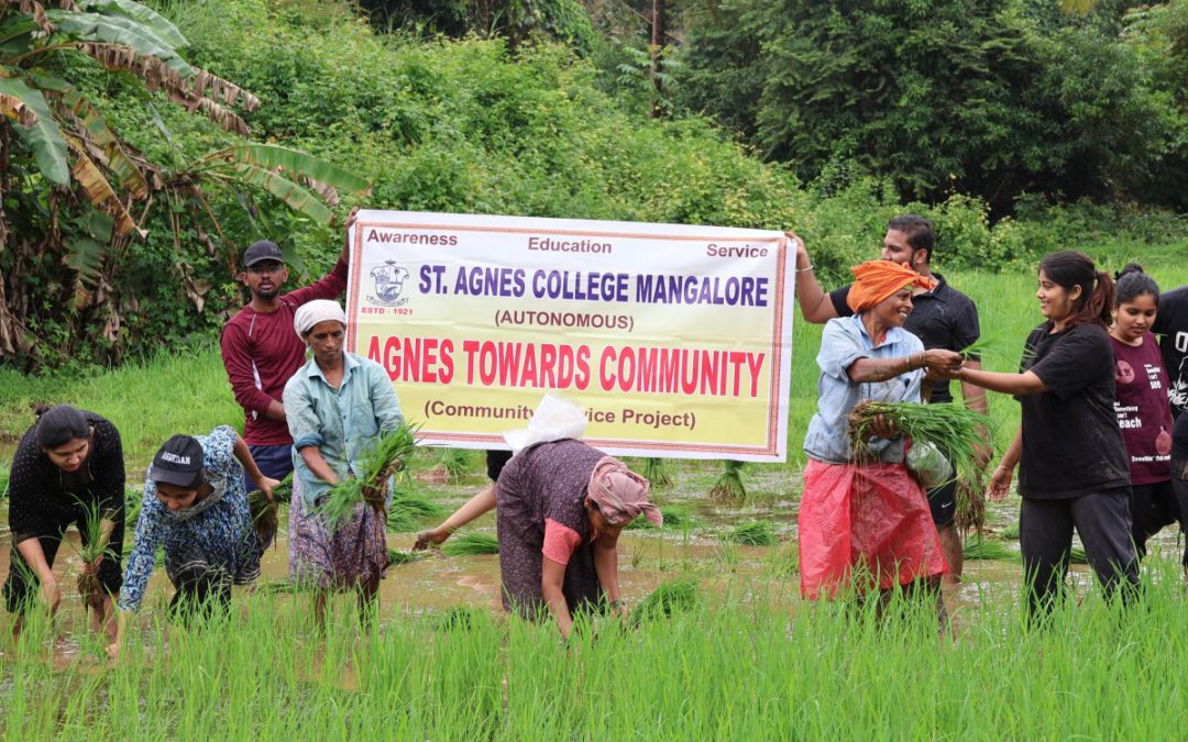 Paddy Plantation Drive