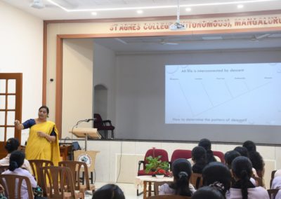 Understanding Evolutionary Relationships