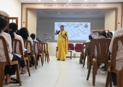 Understanding Evolutionary Relationships