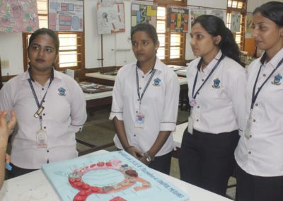 Model Design Competition - ‘Life of Invertebrates’