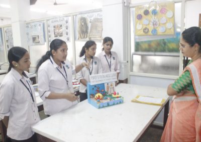 Model Design Competition - ‘Life of Invertebrates’