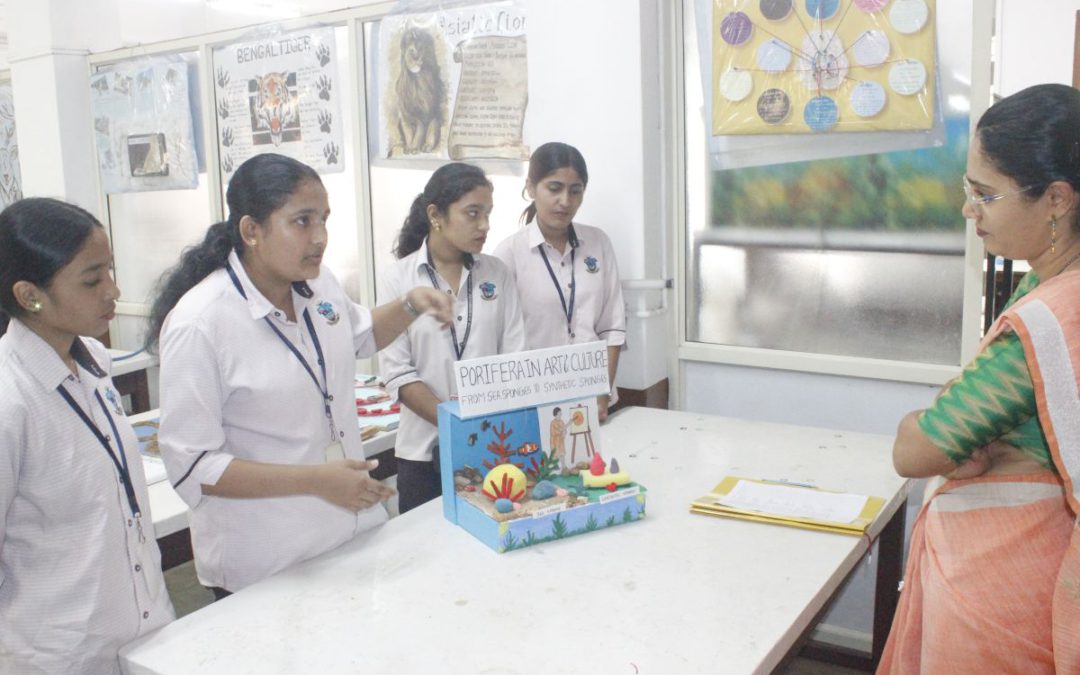 Model Design Competition – ‘Life of Invertebrates’