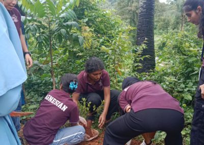 Plantation Drive